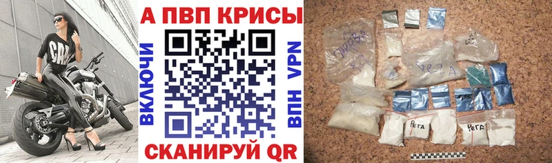 где купить   Горбатов  Alpha-PVP Соль 