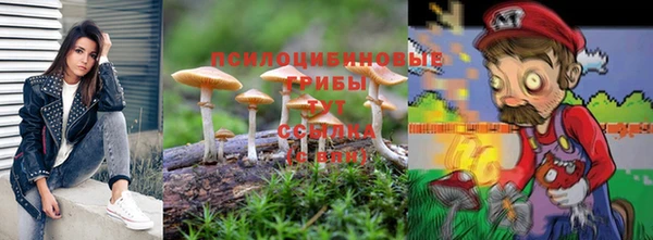 прущая мука Верхний Тагил